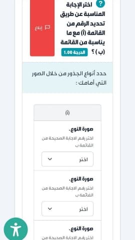 حدد أنواع الجذور من خلال الصور التي أمامك