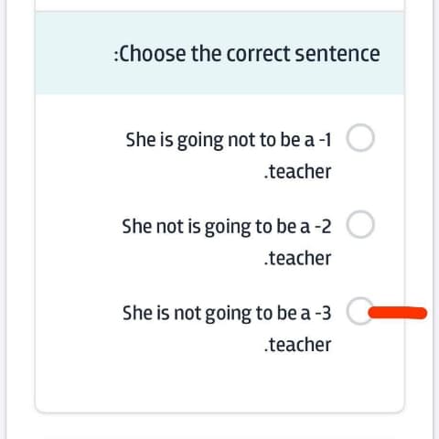 Choose the correct sentence