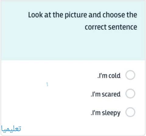 Look at the picture and choose the correct sentence