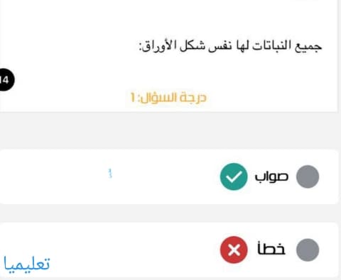 جميع النباتات لها نفس شكل الأوراق