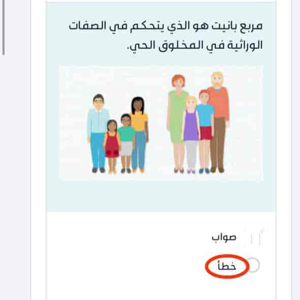 مربع بانيت هو الذي يتحكم في الصفات الوراثية في المخلوق الحي.