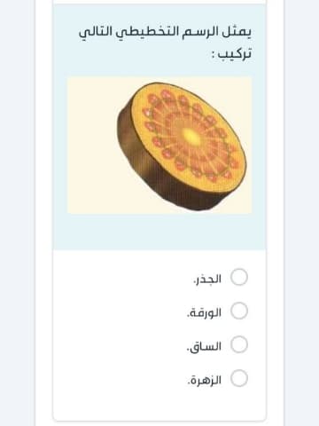 يمثل الرسم التخطيطي التالي تركيب