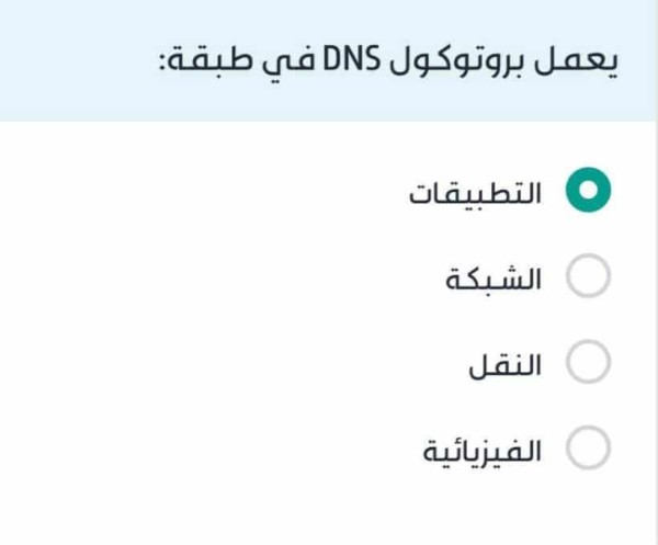 يعمل بروتوكول DNS في طبقة: التطبيقات الشبكة النقل الفيزيائية