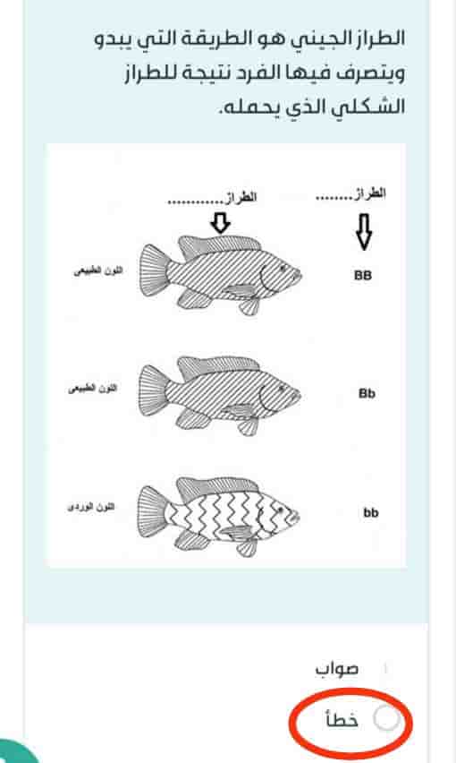 الطراز الجيني هو الطريقة التي يبدو ويتصرف فيها الفرد نتيجة للطراز الشكلي الذي يحمله