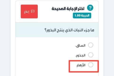 ما جزء النبات الذي ينتج البذور